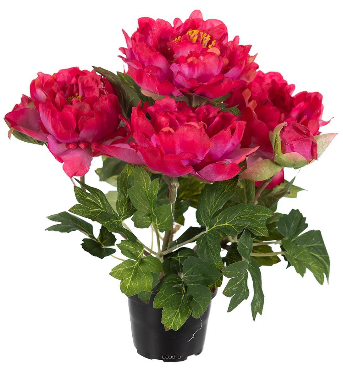 Artificielles - Pivoine artificielle en pot H 35 cm 4 fleurs et 2 boutons Rose fushia - couleur: Rose fushia 730 - Imagen 1