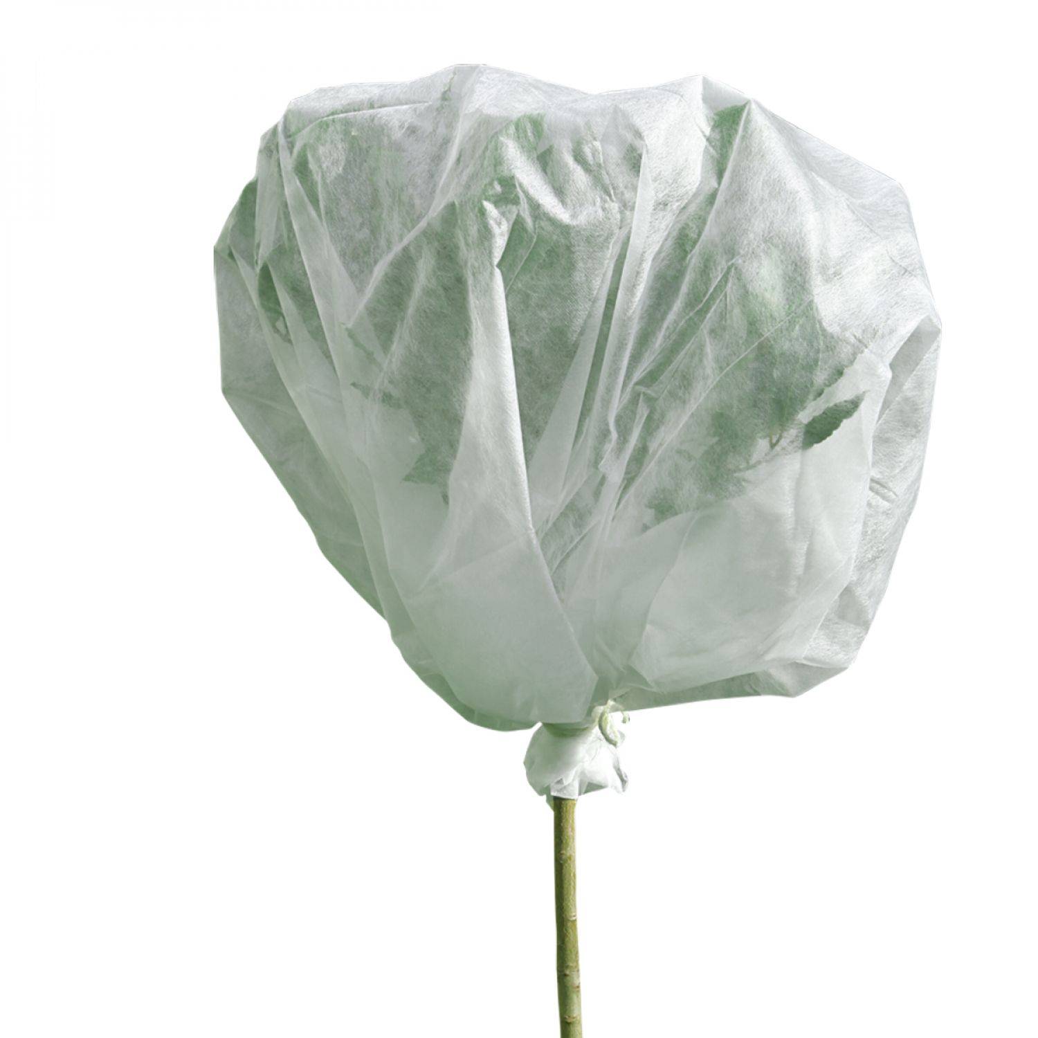 Linxor - Voile d'hivernage pour plantes 2m x 10m 30g/m² - Blanc - Linxor - Imagen 1
