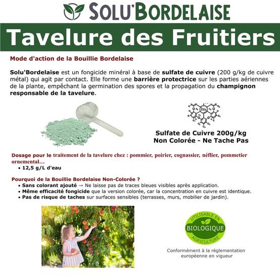 Solu'Bordelaise - Tavelure des Fruitiers-3 kg de Bouillie Bordelaise Non Colorée-Polyvalent à base de Sulfate de Cuivre 200 g/kg-Doseur inclus-UAB - Image 3