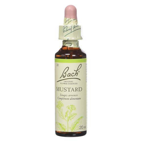 Mustard -  Fleurs de Bach n°21 Fleur de Bach