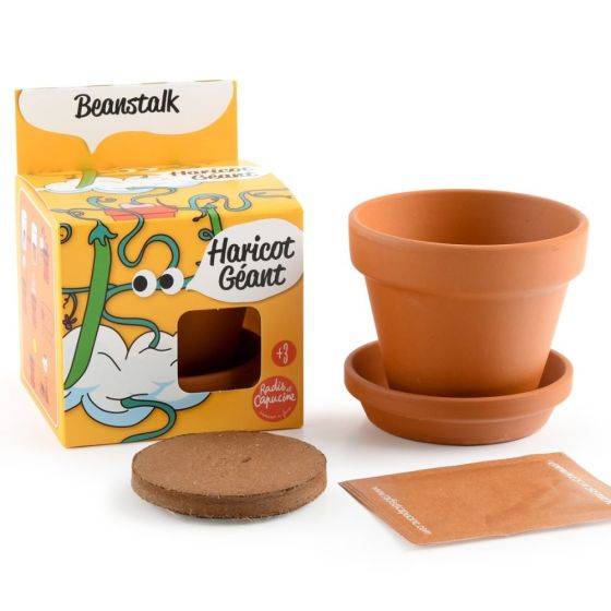Radis et Capucine - Radis et Capucine - Pot avec coupelle - Haricot Géant - 8 cm - Imagen 4