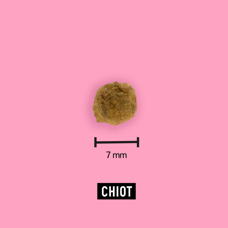 Croquettes aux insectes pour chiots 7,5kg - Tomojo - Imagen 3