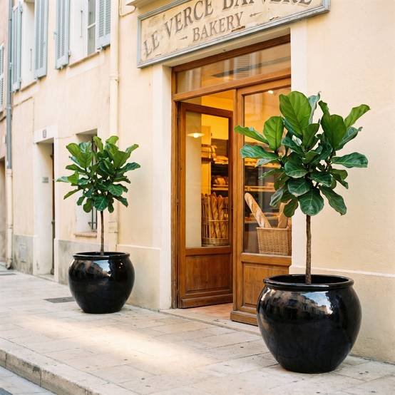 Provencelia - Pot LUTECE 53x43cm noir - Image 7
