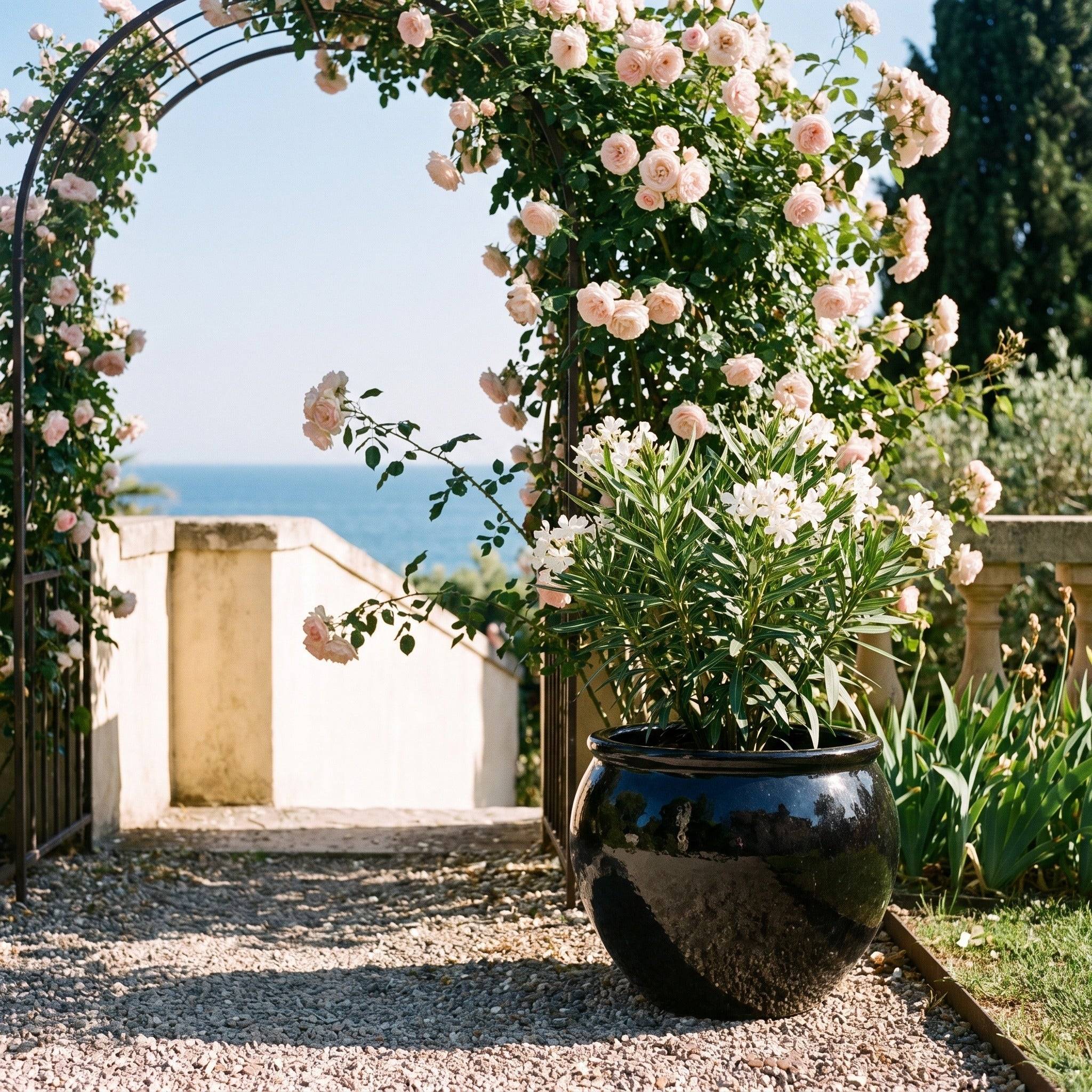 Provencelia - Pot LUTECE 53x43cm noir - Image 4