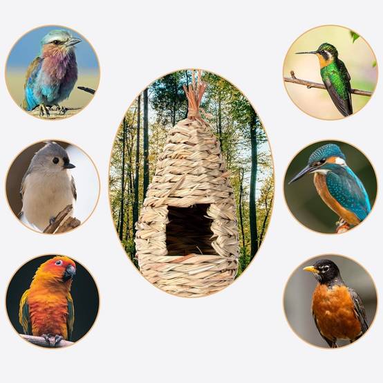 IntiMeg - Maison d'oiseau - IntiMeg - Image 2