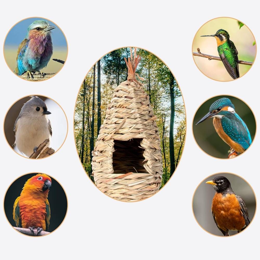 IntiMeg - Maison d'oiseau - IntiMeg - Image 2