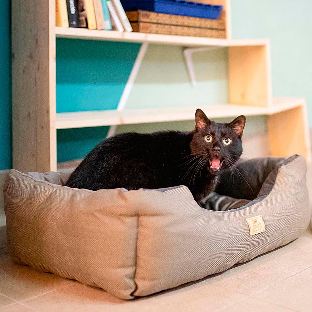 Ferplast - Lit Chiens et Chats Couchage CHESTER 60, avec Coussin Double-face, Tweed et Velours, Lavable, Marron - Imagen 5