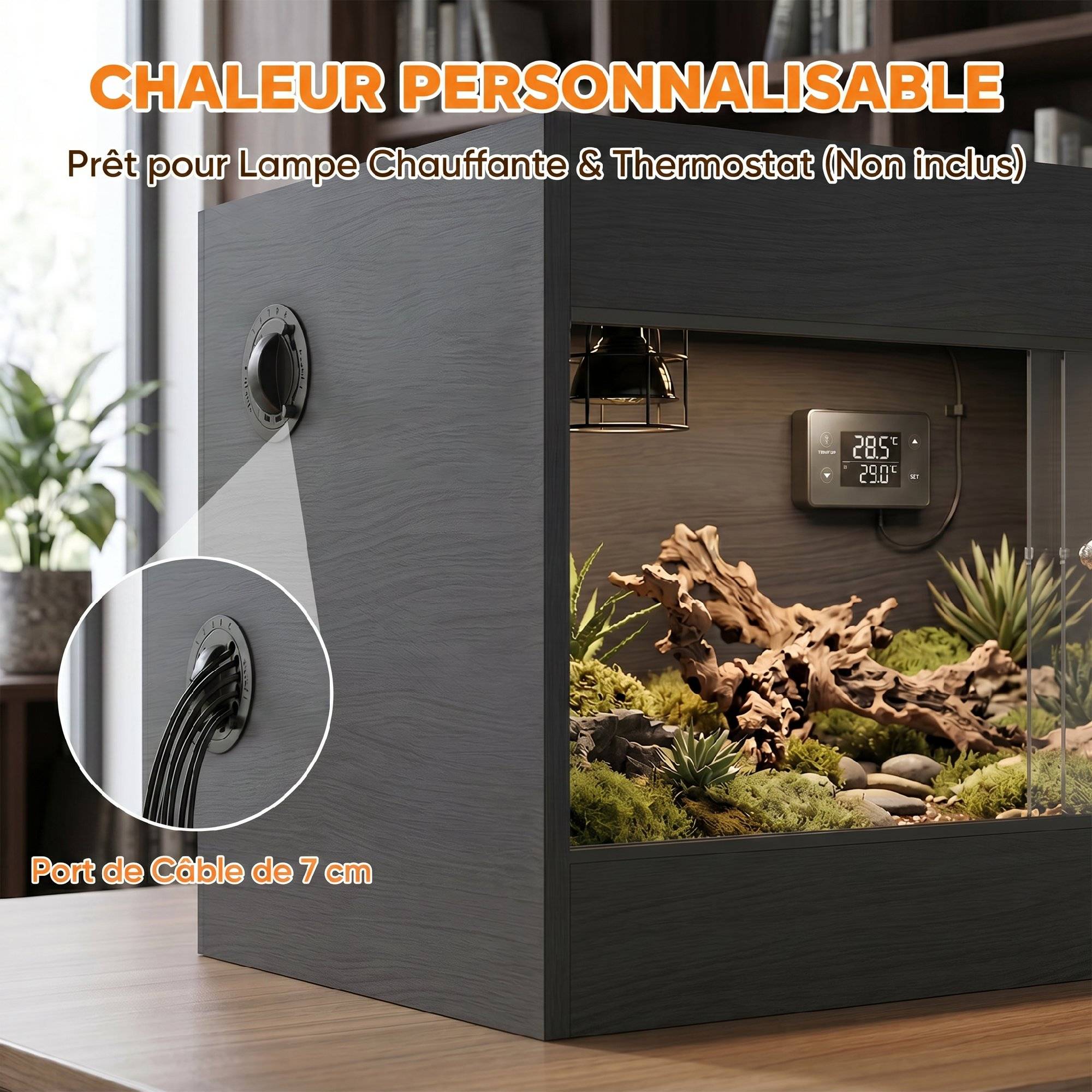 Vivarium surélevé 60×45×32cm noir, double serrure, parois vitrées - Image 8