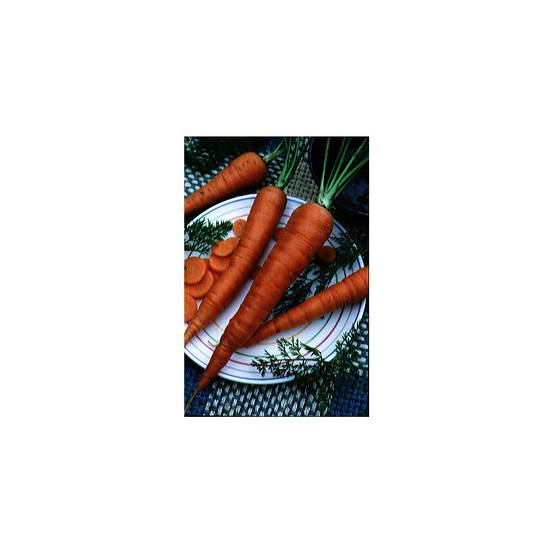 Carotte Valery - Daucus carota le sachet de 3600 graines environ (5g)
