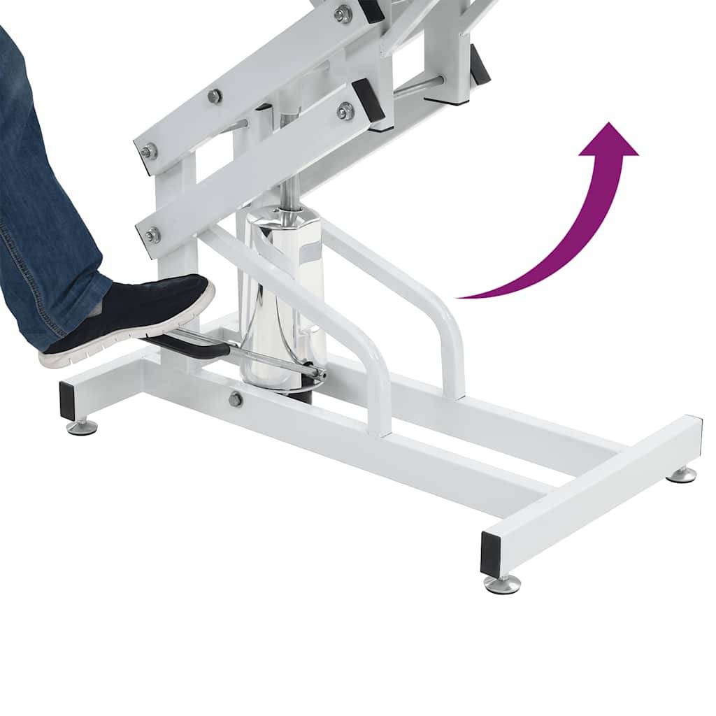 Vidaxl - Table Toilettage Ajustable Hydraulique pour Chiens Chats Animaux vidaXL 170172 - Imagen 4