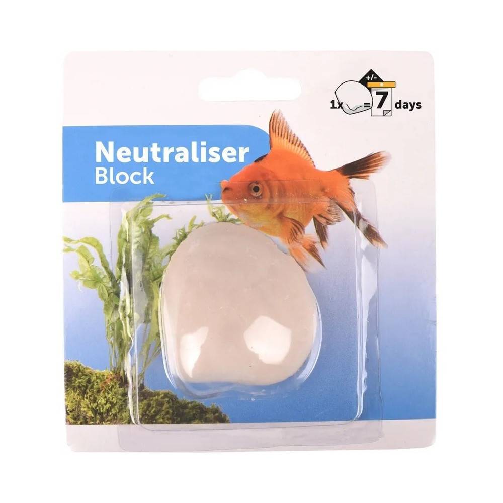 Coquille à oxygène pour poisson d' Aquarium - Imagen 1