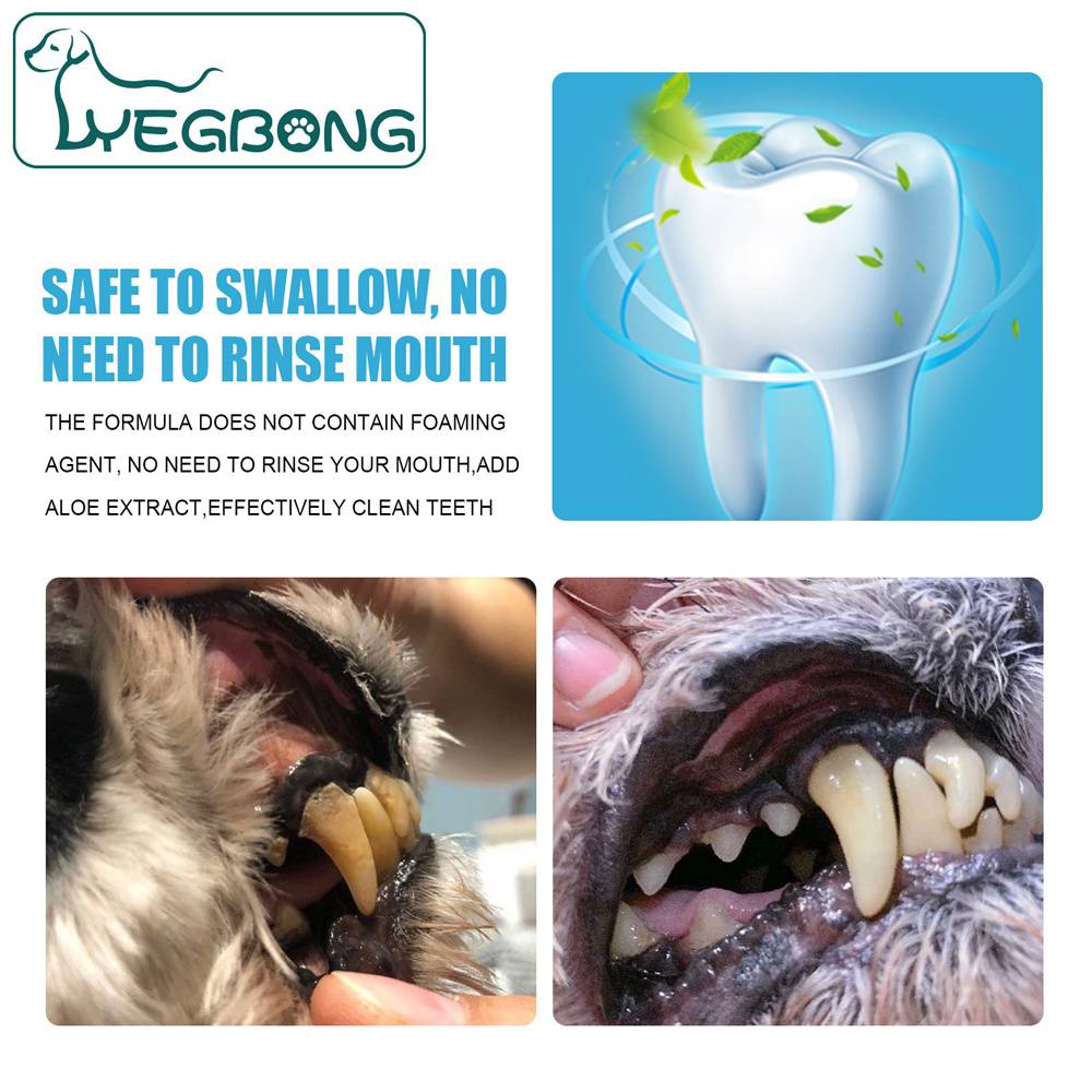 Dentifrice pour Chiens Fraîcheur de Haleine - 60g MCBOSON - Image 5