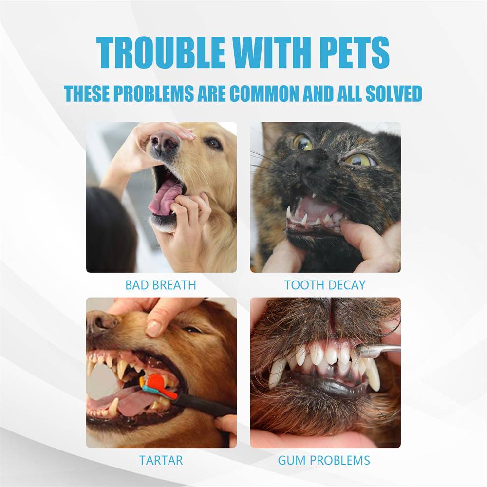 Dentifrice pour Chiens Fraîcheur de Haleine - 60g MCBOSON - Image 4