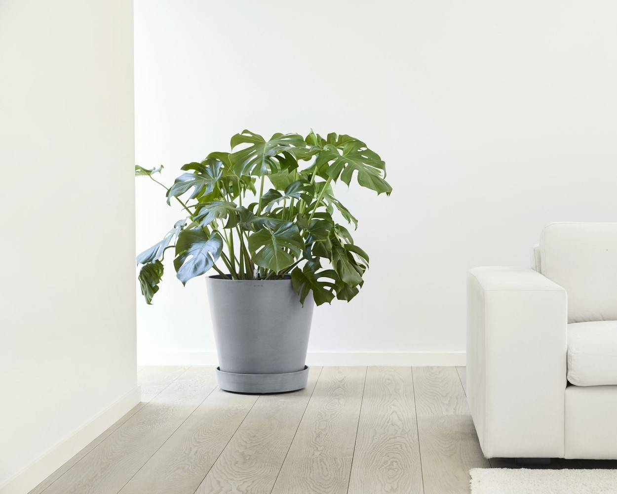 Ecopots - Support à roulettes Wheels 50 Bleu Gris - Ø 41,6 x H. 9 cm ECOPOTS - Imagen 4