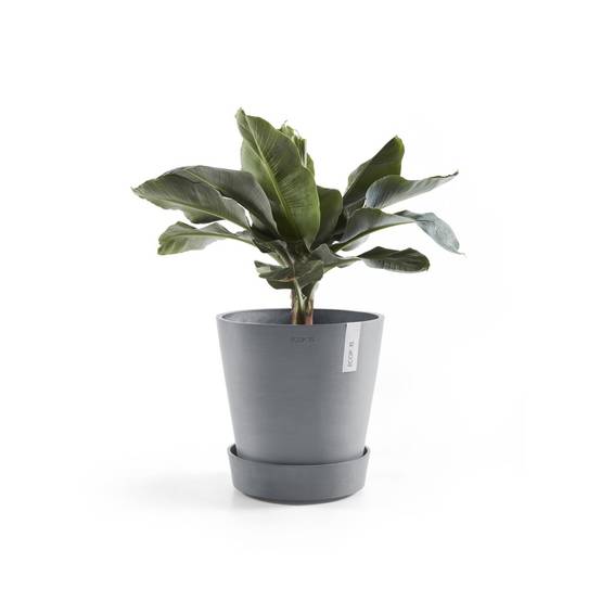 Ecopots - Support à roulettes Wheels 50 Bleu Gris - Ø 41,6 x H. 9 cm ECOPOTS - Imagen 3