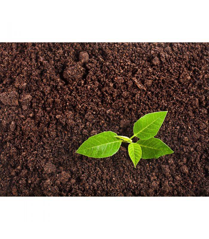 Paillage compost bio enrichisseur du sol 48x20kg RACINE PRO117-48x20 - Image 4