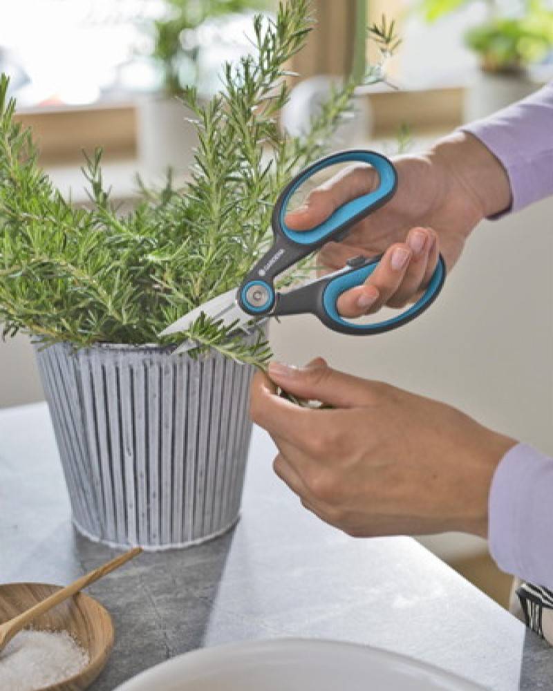 Gardena - Set de sécateurs HerbCut + support Gardena - Imagen 3