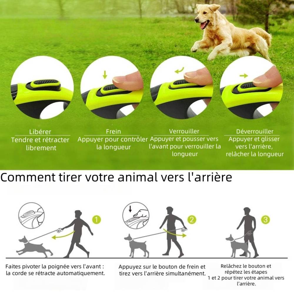 Laisse pour chien en nylon solide et élastique l - IntiMeg - Image 3