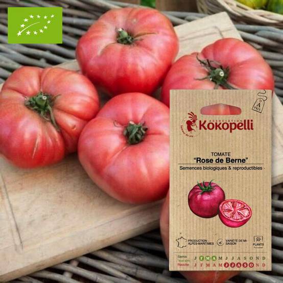Tomate Rose de Berne- Graines bio à semer - Image 1