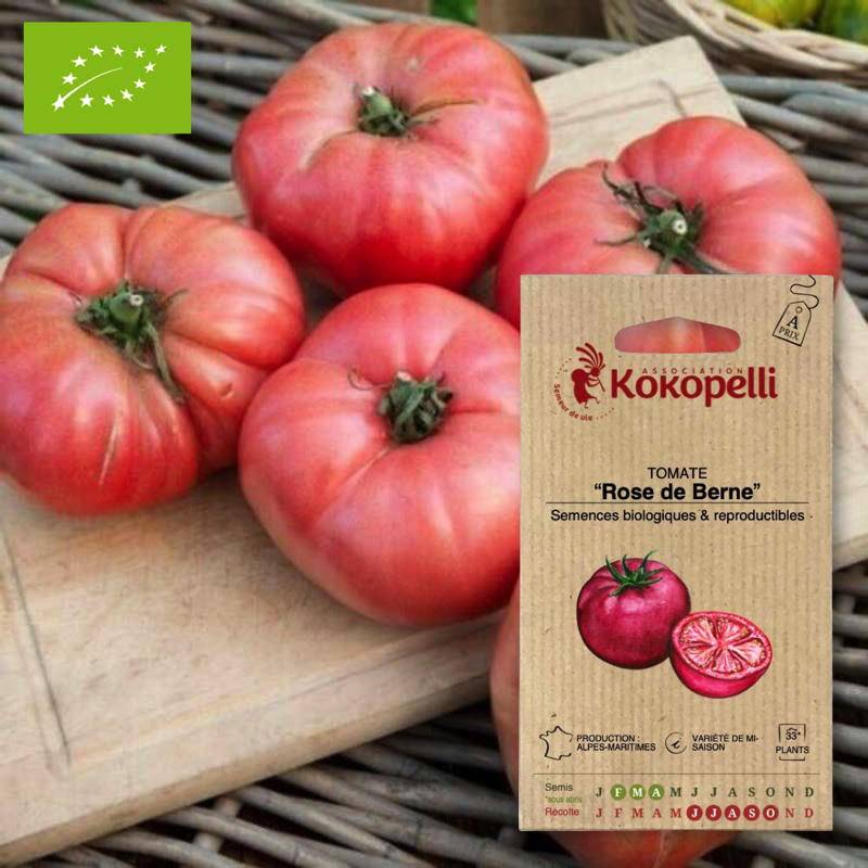 Tomate Rose de Berne- Graines bio à semer - Imagen 1