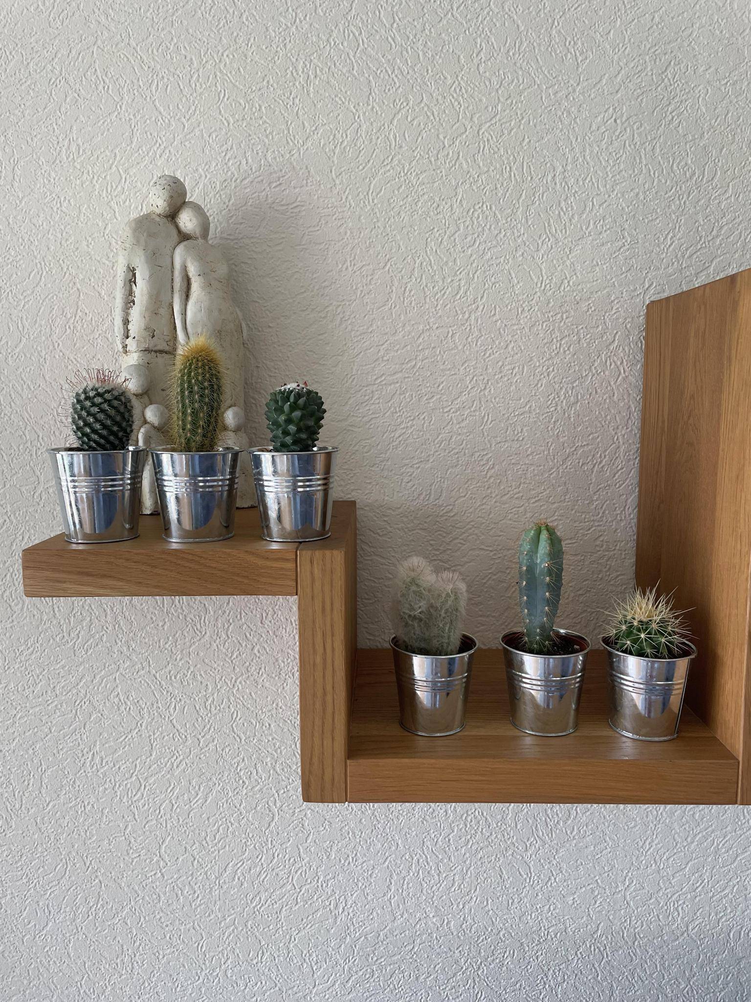 La Green Touch - Ensemble de 6 cactus en pot de zinc- La Green Touch - Image 3