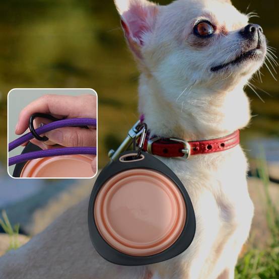 IntiMeg - Gamelle pliable rose pour chien - IntiMeg - Image 2