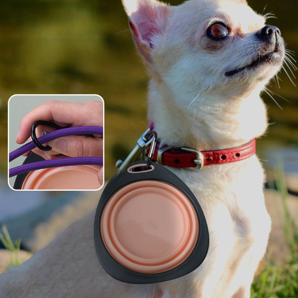 IntiMeg - Gamelle pliable rose pour chien - IntiMeg - Image 2