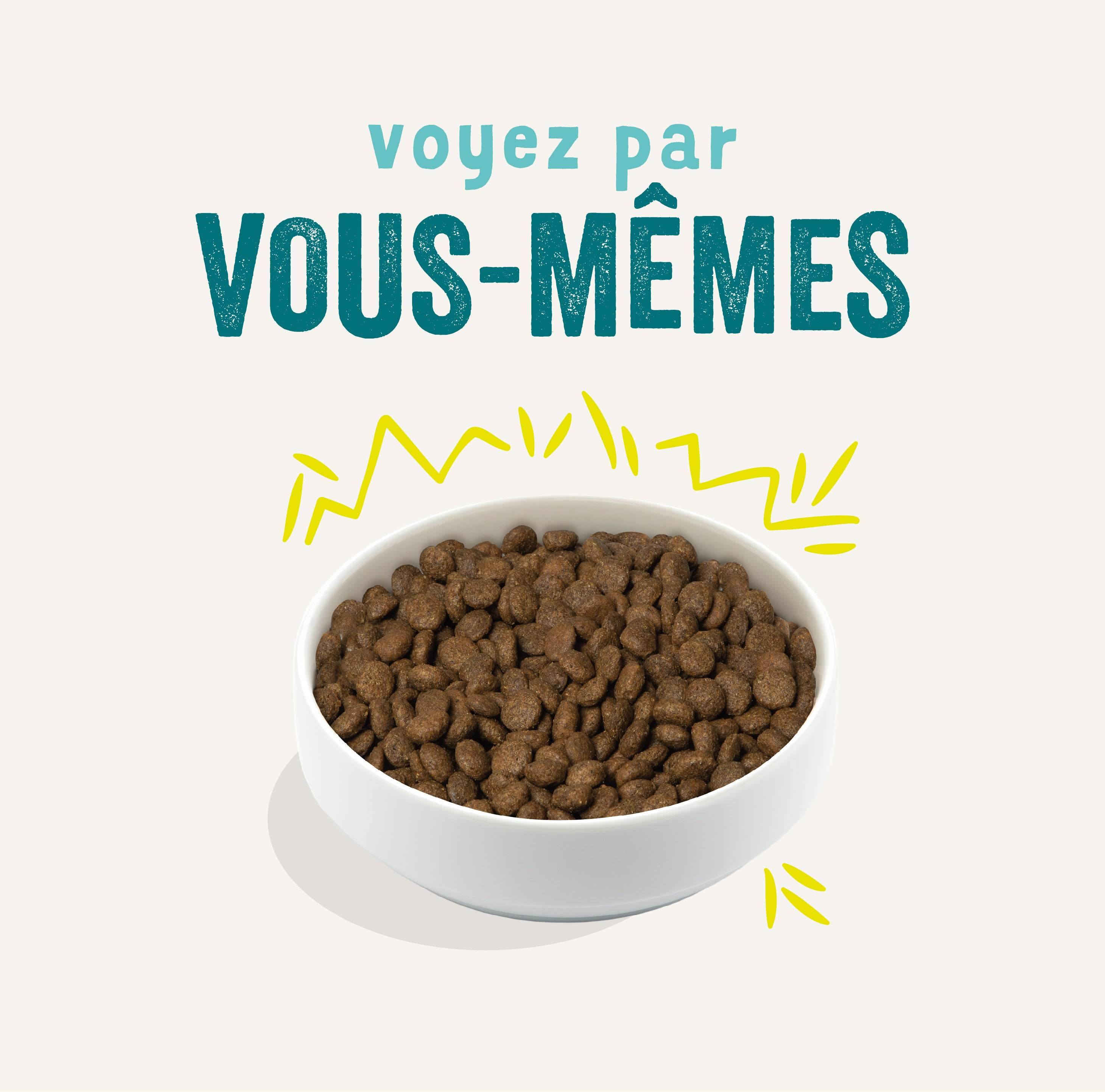Edgard & Cooper - Edgard Cooper - Croquettes Végétariennes Carotte & Courgette pour Chien - Imagen 3