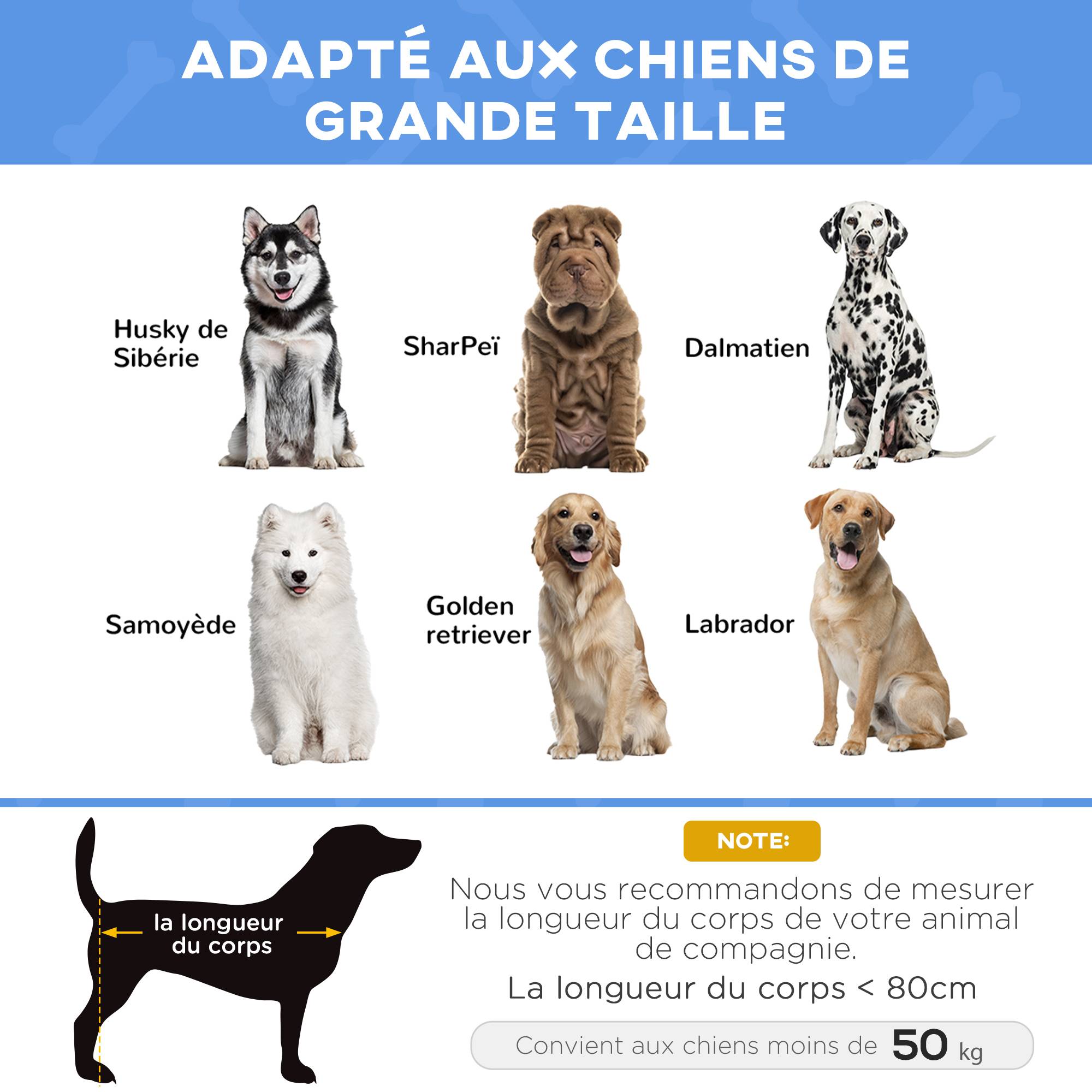 Lit sur pieds XXL chien chat aération optimale textilène métal 122x92cm bleu - ComfortXL Outdoor Living - Image 9