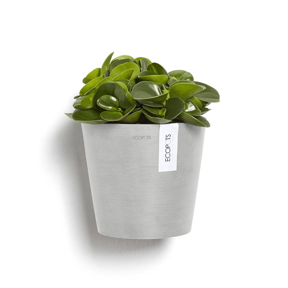 Ecopots - Pot suspension mural Amsterdam Wall Blanc Gris - Ø 20 x H. 17,5 cm - 4 L ECOPOTS - Imagen 3