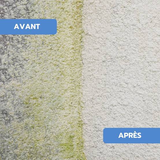 Antimousse concentré toiture, façade, terrasse ULTRA'DMOUSS - 20 L - Image 4