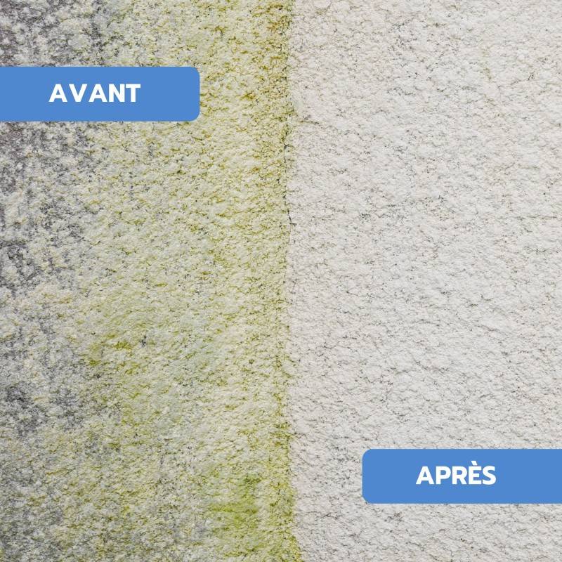 Antimousse concentré toiture, façade, terrasse ULTRA'DMOUSS - 20 L - Image 4