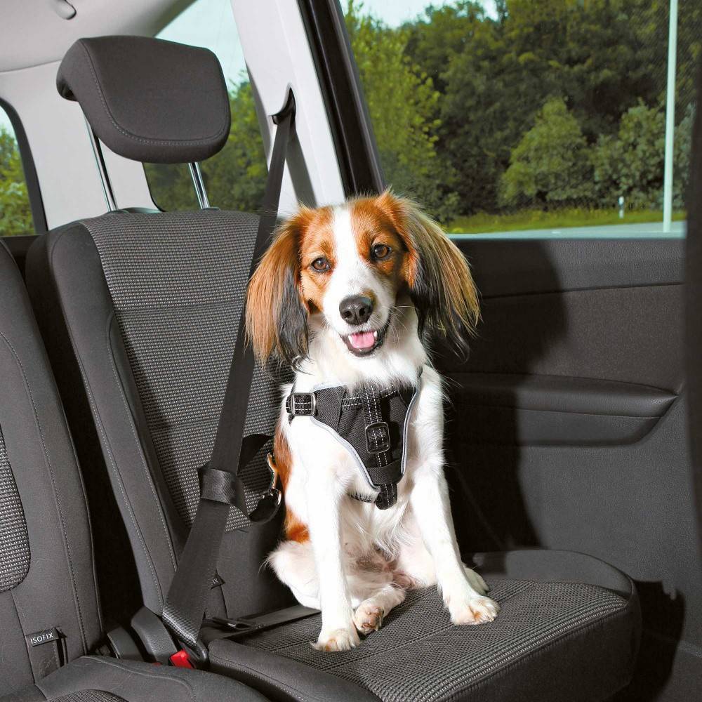 Trixie - Trixie - Harnais pour voiture Dog Confort M pour chien - Image 4