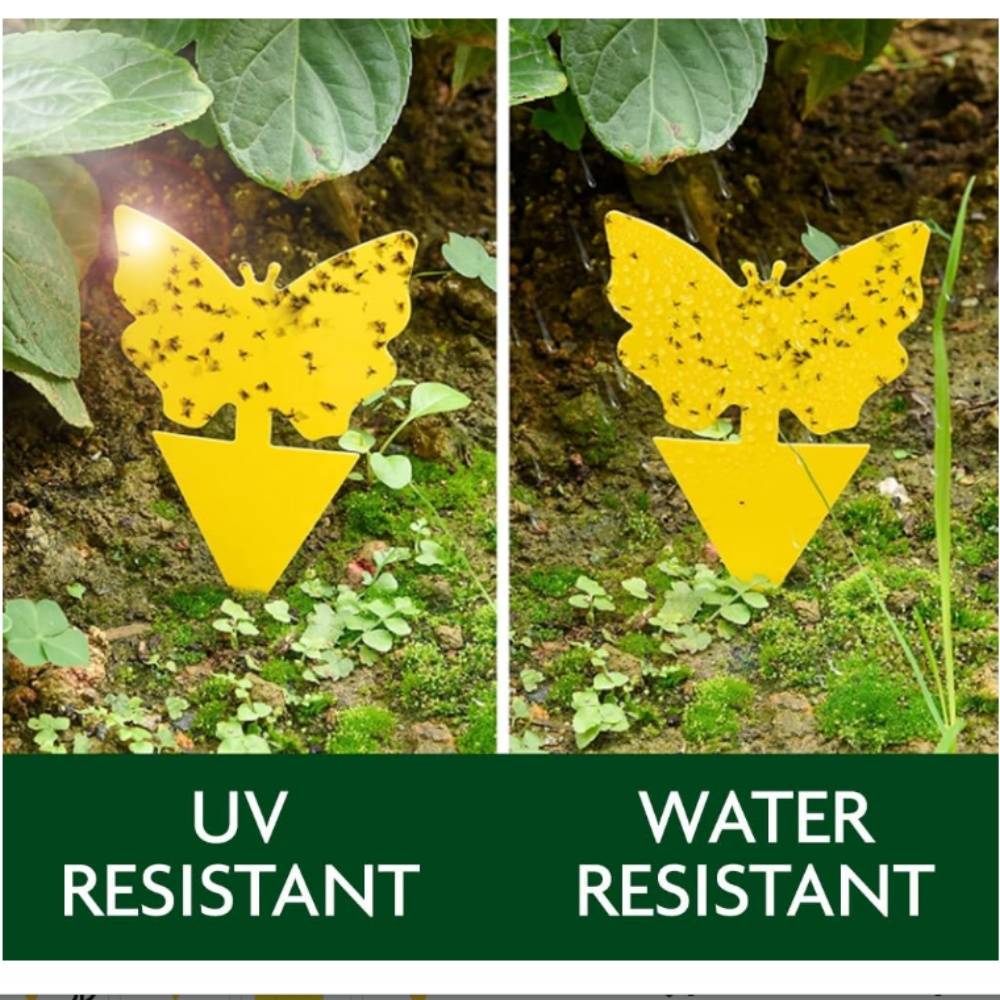 Plaque Anti Insectes Jaune Pour Papillons MCBOSON - Imagen 3