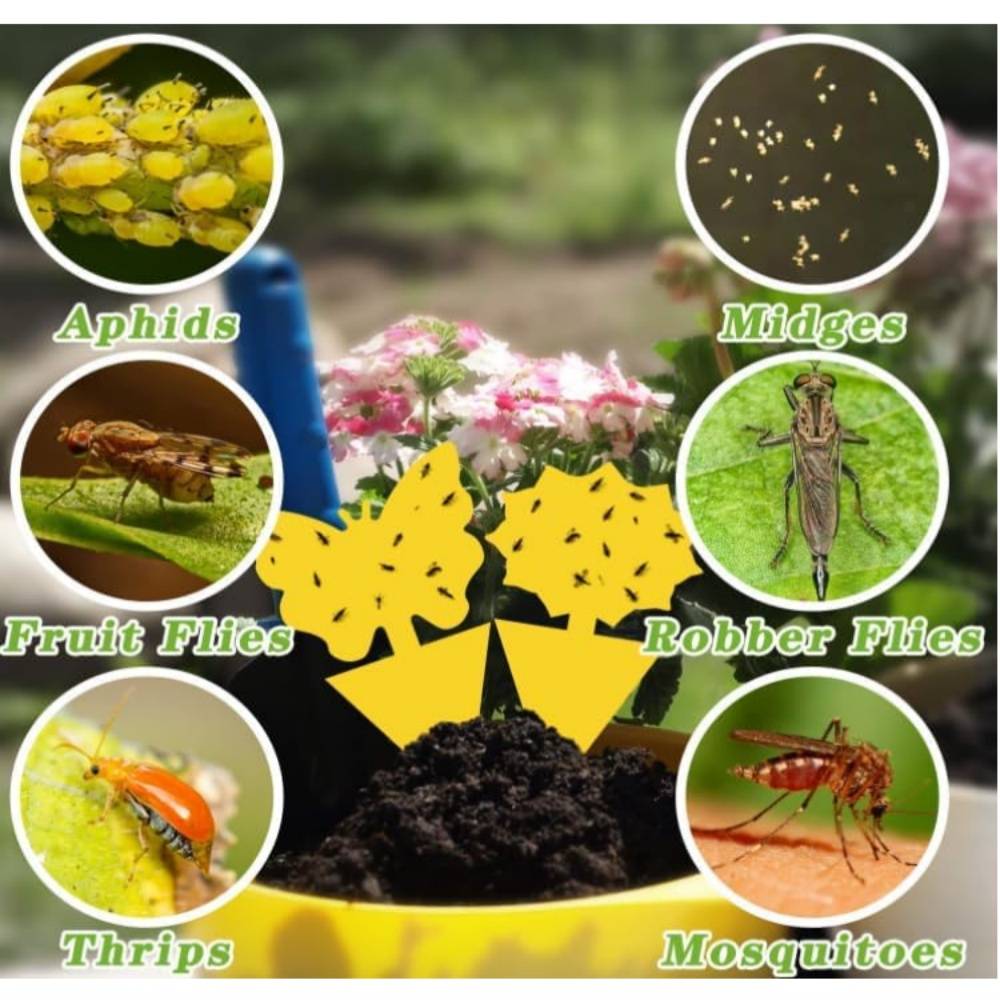 Plaque Anti Insectes Jaune Pour Papillons MCBOSON - Imagen 4