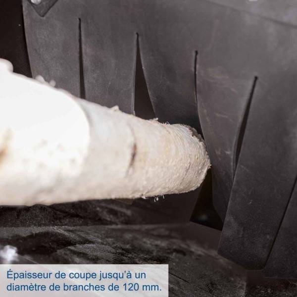 Scheppach - Broyeur thermique a démarrage électrique PGS420E - Image 5