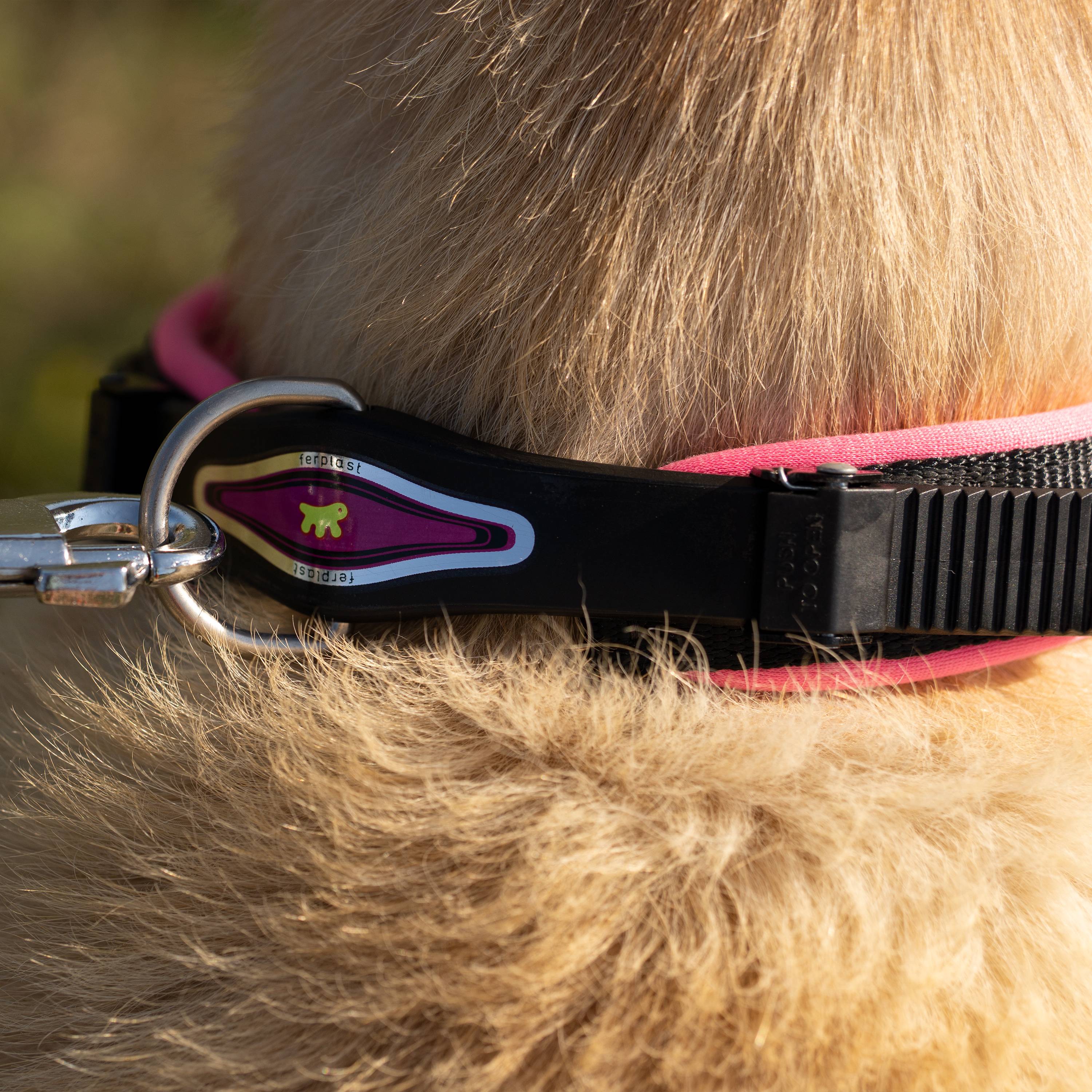 Ferplast - Collier Ergonomique pour Chiens ERGOFLUO C25/60 avec Rembourrage et Fermeture à Micro-régulation - Image 4