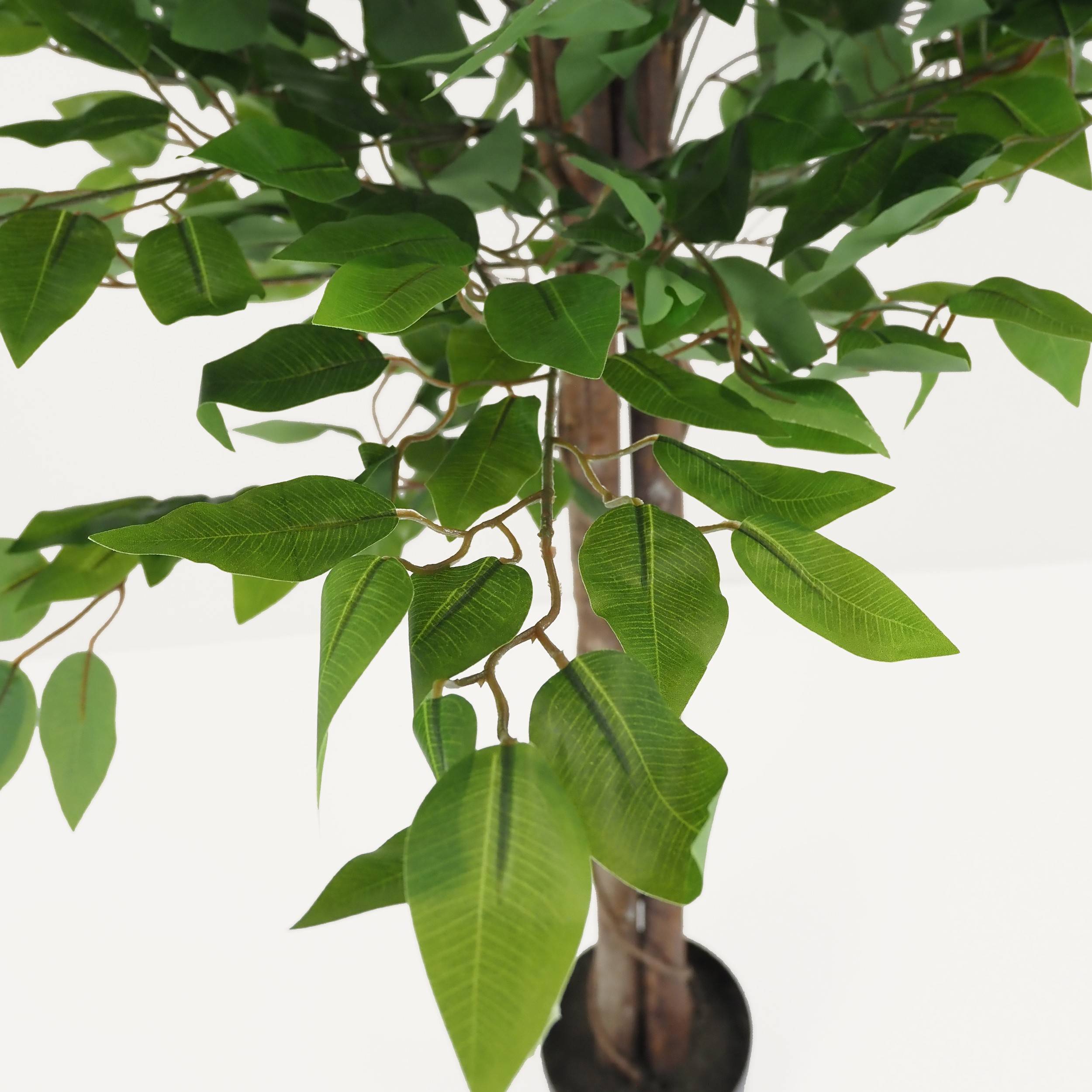 Ligne Deco - Ficus artificiel vert 180cm - Image 5