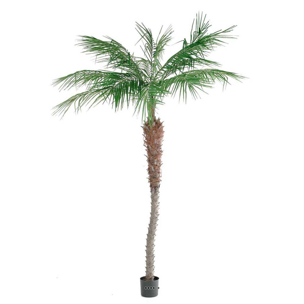 Artificielles - Palmier Phoenix factice H210cm tronc en pot - dimhaut: H 210 cm - couleur: Vert