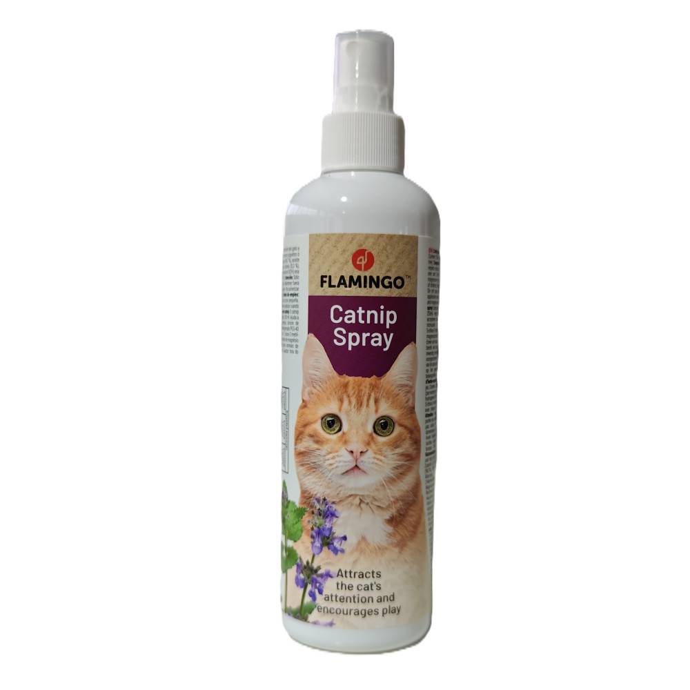 Catnip en spray 250 ml pour chat - Imagen 1