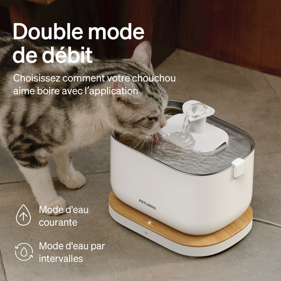 Petlibro Fontaine à eau intelligente Dockstream - Blanche - Image 5