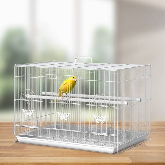 Cage pour oiseaux en métal avec perchoirs, mangeoires et poignée, 60x41x41 cm - Image 4
