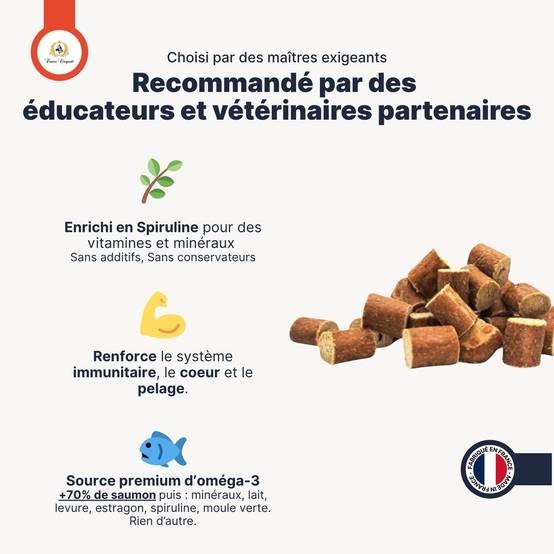France Croquettes - France Croquettes Friandise pour chien Bouchées de saumon au colostrum - 600 g - Image 5