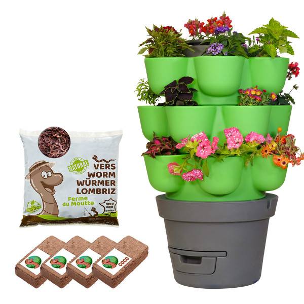 WORMgarden Vert 3 jardinières + 500gr de Vers - Image 1