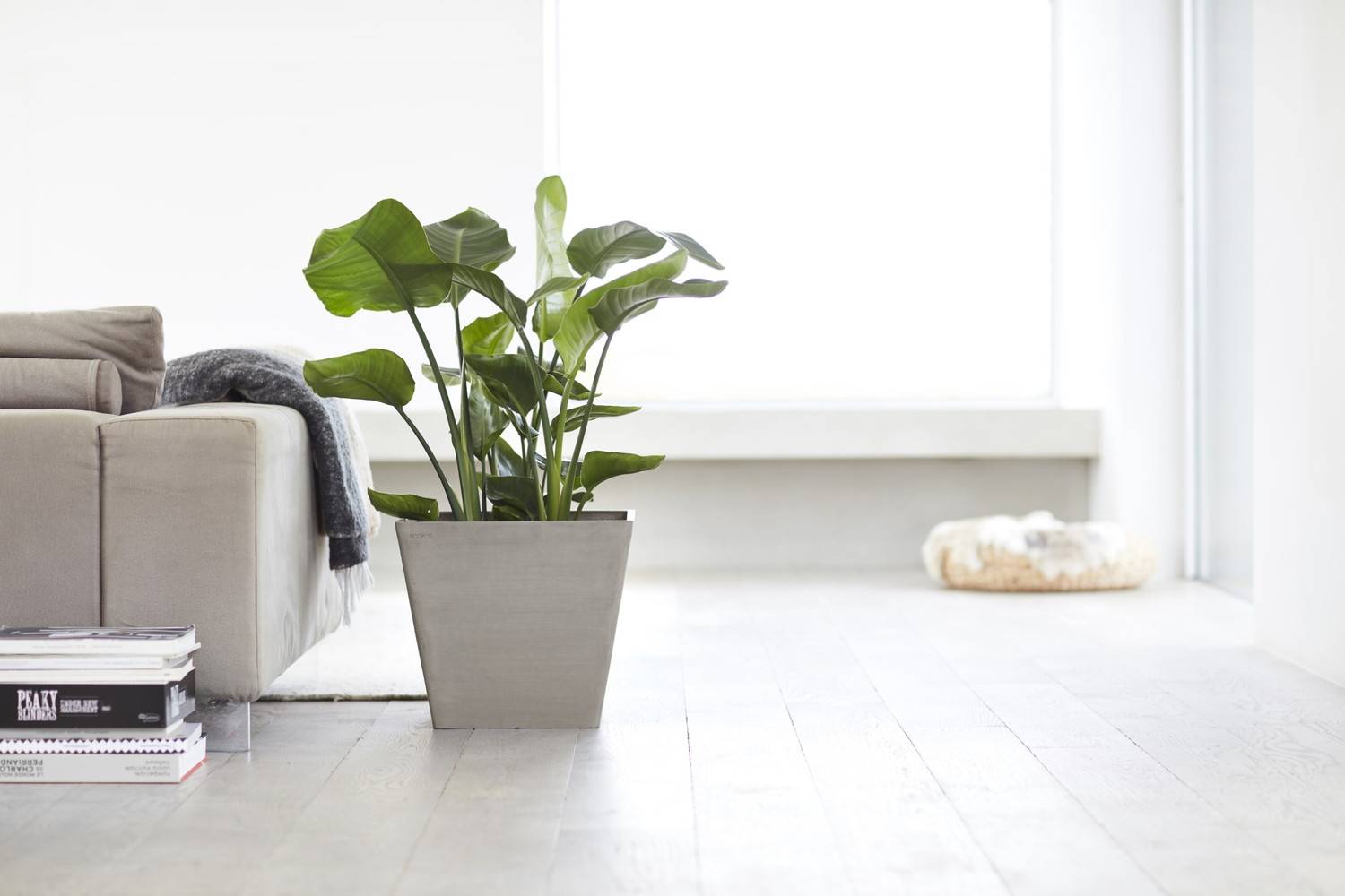 Ecopots - Pot Carré Rotterdam 40 Taupe - 40 x 40 x H. 35 cm - 37,6 L ECOPOTS - Imagen 3