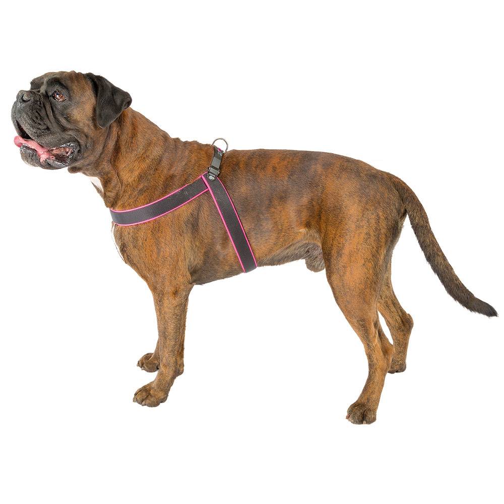 Ferplast - Ferplast Harnais ergonomique pour chiens AGILA FLUO 6, ajustement parfait, fermeture à double micro-régulation, rembourrage souple, A=B 57÷65 cm 25 mm - Imagen 8