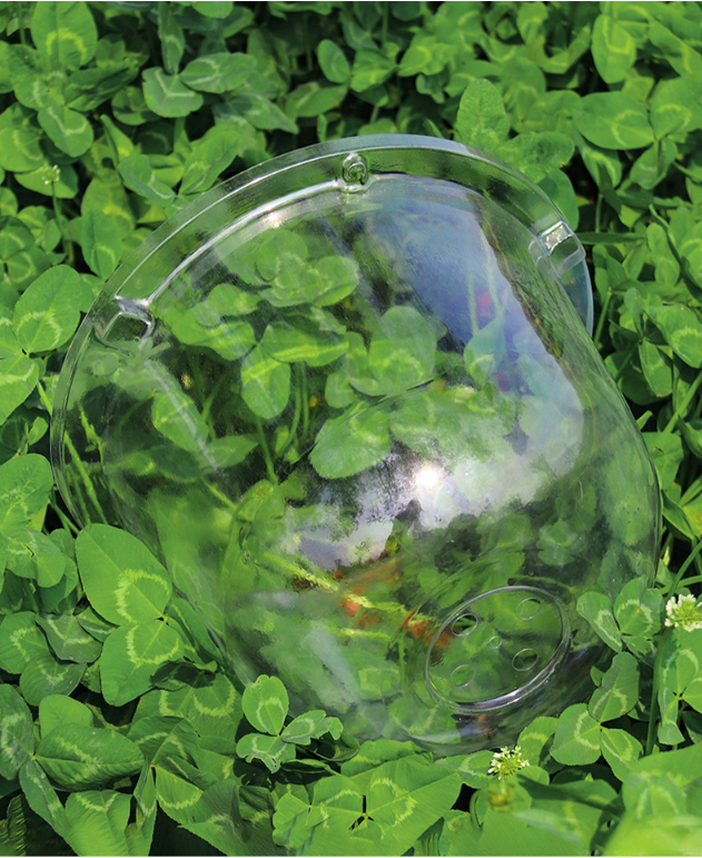 Serre de jardin transparente MCBOSON - Imagen 4