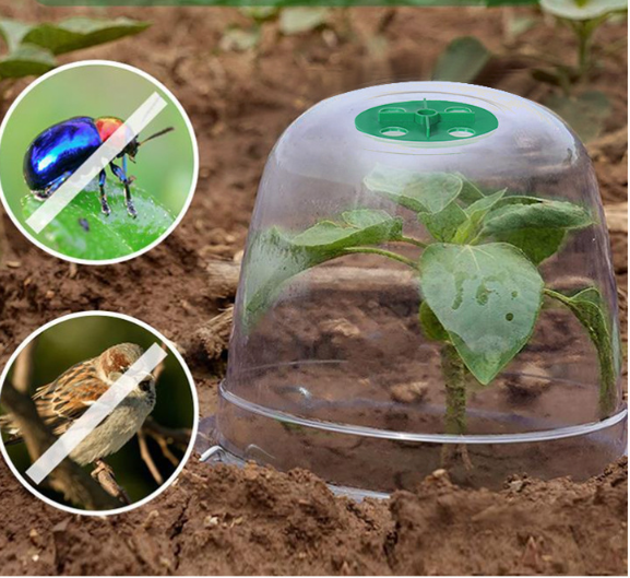 Serre de jardin transparente MCBOSON - Imagen 6