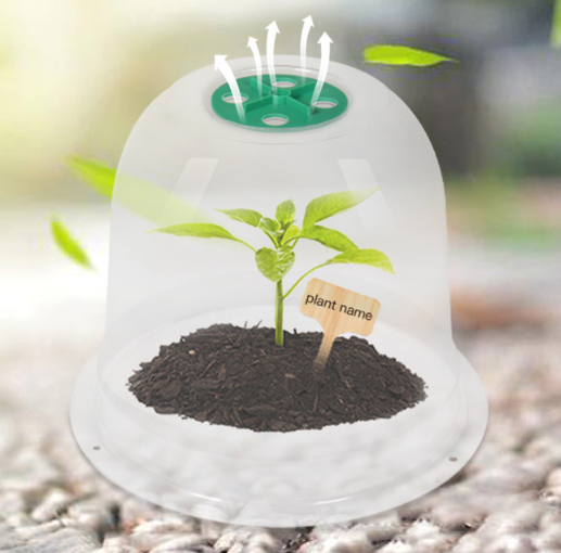 Serre de jardin transparente MCBOSON - Imagen 5