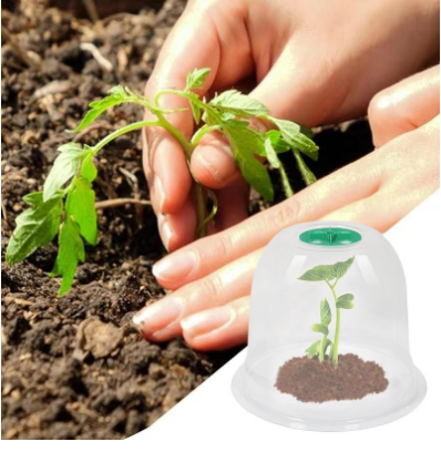 Serre de jardin transparente MCBOSON - Imagen 3
